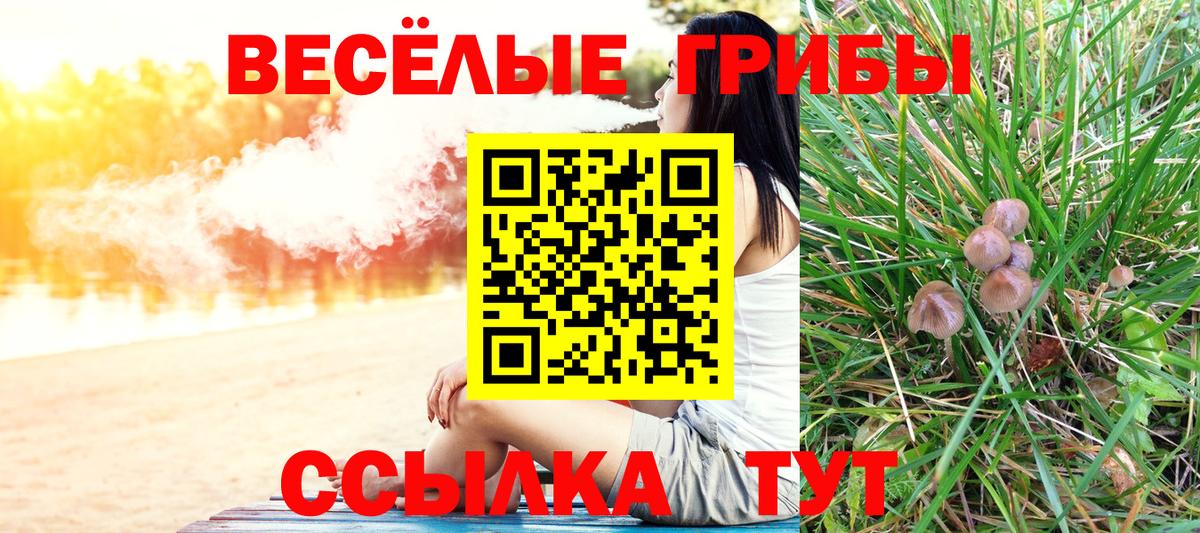 Псилоцибиновые грибы ЛСД  Вход с VPN  Ржев 